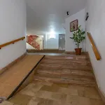 Navgts5p33-1 Apartment