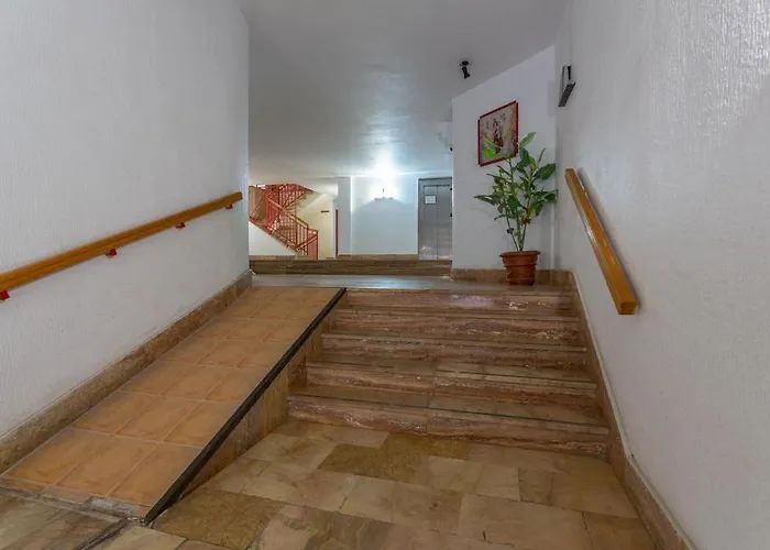 Navgts5p33-1 טורבייחה